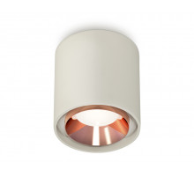 Потолочный светильник Ambrella Light Techno Spot XS7724005 (C7724, N7035)