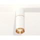 Потолочный светильник Ambrella Light Techno Spot XS6322062 (C6301, A2062, C6322, N6134)