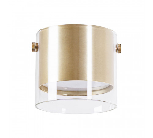 Накладной светильник Arte Lamp Lazio A5366PL-1SG Накладной светильник Arte Lamp Lazio A5366PL-1SG