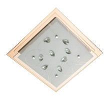 Потолочный светильник Arte Lamp A4042PL-2CC