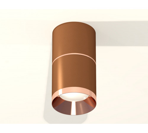Потолочный светильник Ambrella Light Techno Spot XS7404081 (C7404, A2073, C7404, N7035) Потолочный светильник Ambrella Light Techno Spot XS7404081 (C7404, A2073, C7404, N7035)