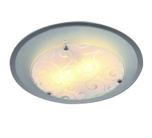 Потолочный светильник Arte Lamp A4806PL-2CC