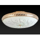 Накладной светильник Toplight Davina TL1482Y-05GC