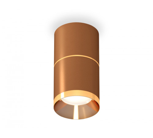 Потолочный светильник Ambrella Light Techno Spot XS7404061 (C7404, A2072, C7404, N7034) Потолочный светильник Ambrella Light Techno Spot XS7404061 (C7404, A2072, C7404, N7034)