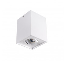 Накладной светильник Kanlux Gord DLP 50-W 25470