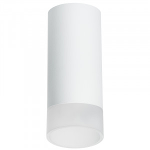 Накладной светильник Lightstar Rullo R648681 (216486+202481)