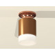 Потолочный светильник Ambrella Light Techno Spot XS6304153 (N6906, C6304, N6248)