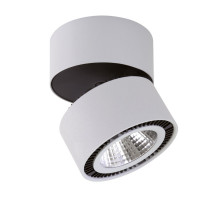 Потолочный светодиодный светильник Lightstar Forte Muro 214830