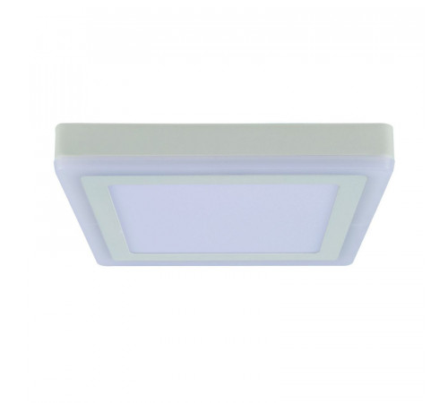 Потолочный светодиодный светильник Arte Lamp Altair A7724PL-2WH Потолочный светодиодный светильник Arte Lamp Altair A7724PL-2WH