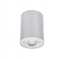 Накладной светильник Kanlux Bord DLP-50-AL 22550