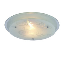Потолочный светильник Arte Lamp A4865PL-2CC