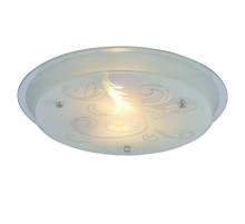 Потолочный светильник Arte Lamp A4865PL-2CC
