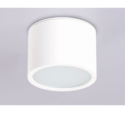 Накладной светильник Ambrella Light IP Protect TN6550 Накладной светильник Ambrella Light IP Protect TN6550