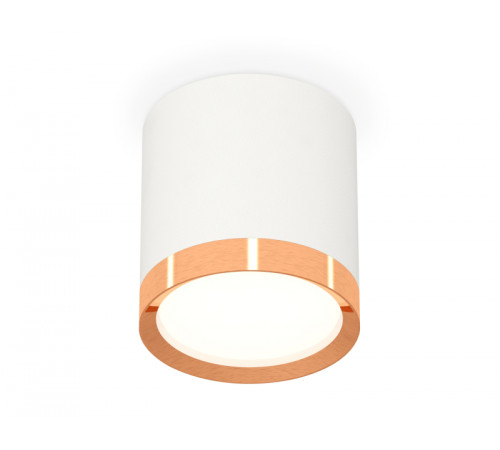 Потолочный светильник Ambrella Light Techno Spot XS8141005 (C8141, N8126)