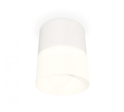 Потолочный светильник Ambrella Light Techno Spot XS8110002 (C8110, N8402)