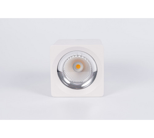 Накладной светодиодный светильник Fiberli CH-SD220-1(W) 12120103 Накладной светодиодный светильник Fiberli CH-SD220-1(W) 12120103