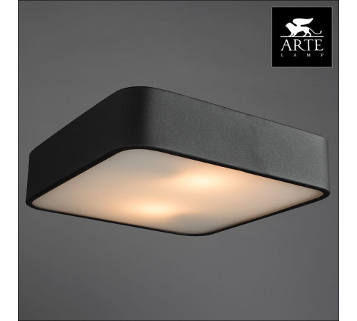 Потолочный светильник Arte Lamp Cosmopolitan A7210PL-2BK Потолочный светильник Arte Lamp Cosmopolitan A7210PL-2BK