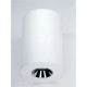 Накладной светильник Elvan NLS-210067-4.2W-WW-WhCh