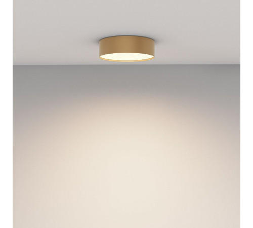 Накладной светильник Maytoni Zon C032CL-24W3K-RD-MG Накладной светильник Maytoni Zon C032CL-24W3K-RD-MG