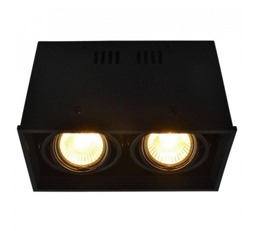 Потолочный светильник Arte Lamp Cardani A5942PL-2BK Потолочный светильник Arte Lamp Cardani A5942PL-2BK