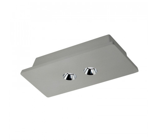 Потолочный светодиодный светильник Loft IT Architect OL1072-GH/2