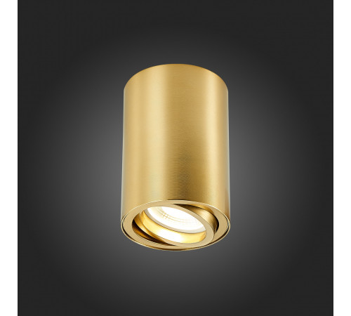Накладной светильник ST Luce ST108 ST108.207.01 Накладной светильник ST Luce ST108 ST108.207.01