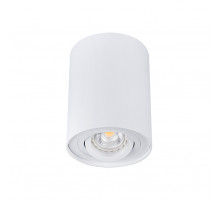 Накладной светильник Kanlux Bord DLP-50-W  22551