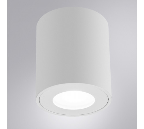 Накладной светильники Arte Lamp Tino A1469PL-1WH Накладной светильники Arte Lamp Tino A1469PL-1WH