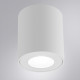 Накладной светильники Arte Lamp Tino A1469PL-1WH