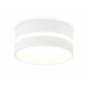Накладной светильник Ambrella Light IP Protect TN5391