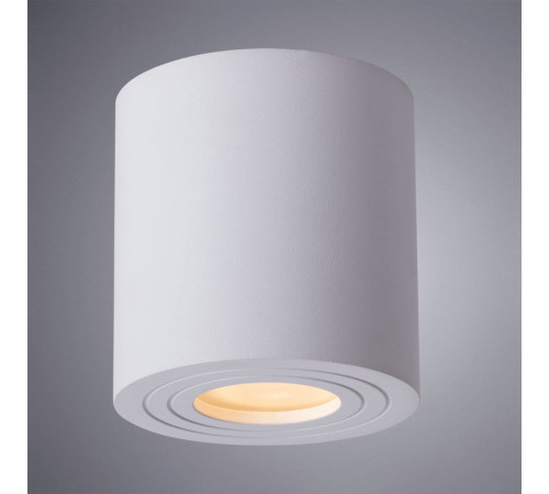 Накладной светильник ARTE Lamp A1460PL-1WH Накладной светильник ARTE Lamp A1460PL-1WH