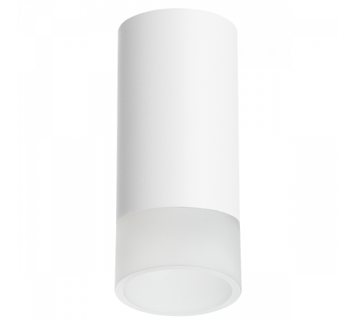 Накладной светильник Lightstar Rullo R43631 (214436+202431) Накладной светильник Lightstar Rullo R43631 (214436+202431)