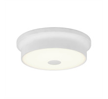 Потолочный светодиодный светильник Citilux Фостер-2 CL706210
