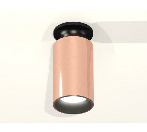 Потолочный светильник Ambrella Light Techno Spot XS6326101 (N6902, C6326, N6111) Потолочный светильник Ambrella Light Techno Spot XS6326101 (N6902, C6326, N6111)