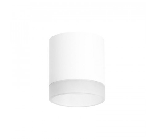 Накладной светильник Lightstar Rullo (213486+202480) R348680 Накладной светильник Lightstar Rullo (213486+202480) R348680