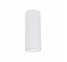 Накладной светильник Arte Lamp Net Mini A6450PL-1WH