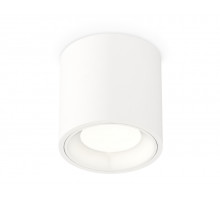 Потолочный светильник Ambrella Light Techno Spot XS7531010 (C7531, N7020)