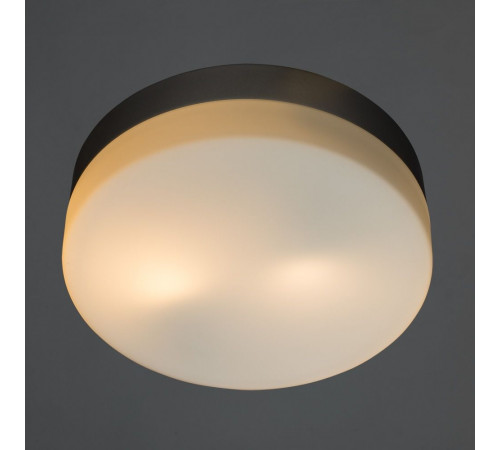 Потолочный светильник Arte Lamp Shirp A3211PL-2SI Потолочный светильник Arte Lamp Shirp A3211PL-2SI