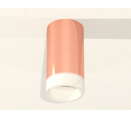 Потолочный светильник Ambrella Light Techno Spot XS6326021 (C6326, N6248) Потолочный светильник Ambrella Light Techno Spot XS6326021 (C6326, N6248)