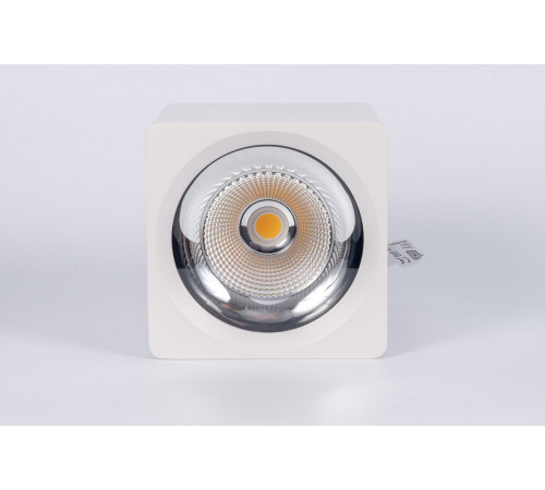 Накладной светильник Fiberli CH-SD230-1 12120102 Накладной светильник Fiberli CH-SD230-1 12120102