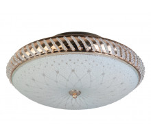 Накладной светильник Toplight Loreen TL1491Y-04GC