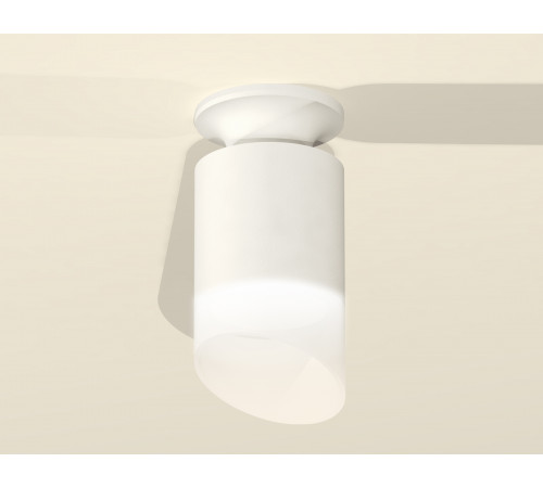 Накладной светильник Ambrella Light Techno XS6301105 (N6901, C6301, N6256)