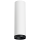 Накладной светильник Lightstar Rullo R64963487 (216496+203487)