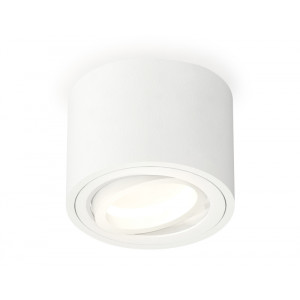 Потолочный светильник Ambrella Light Techno Spot XS7510001 (C7510, N7001)