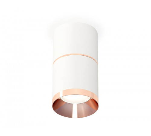 Потолочный светильник Ambrella Light Techno Spot XS7401221 (C7401, A2073, C7401, N7035) Потолочный светильник Ambrella Light Techno Spot XS7401221 (C7401, A2073, C7401, N7035)