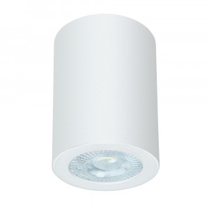 Накладной светильники Arte Lamp Tino A1468PL-1WH