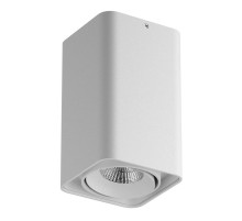 Потолочный светодиодный светильник Lightstar Monocco 052136