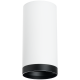 Накладной светильник Lightstar Rullo R64863487 (216486+203487)