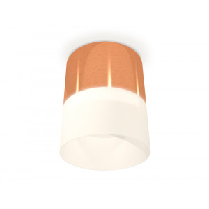 Потолочный светильник Ambrella Light Techno Spot XS8122011 (C8122, N8402)