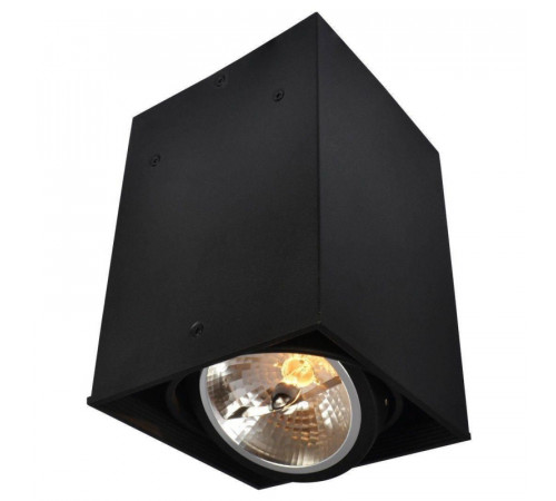 Потолочный светильник Arte Lamp Cardani A5936PL-1BK